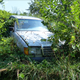 Image for article titled A Michigan Town Is Forcing This Man To Sell 20 Old Cars Off His Property Every Month
